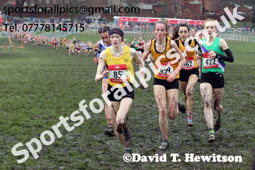 Senior girls 2019 New Balance English Schools Cross Country Champs, Temple Newsam, Leeds. Photo:  David T. Hewitson/Sports for All Pics